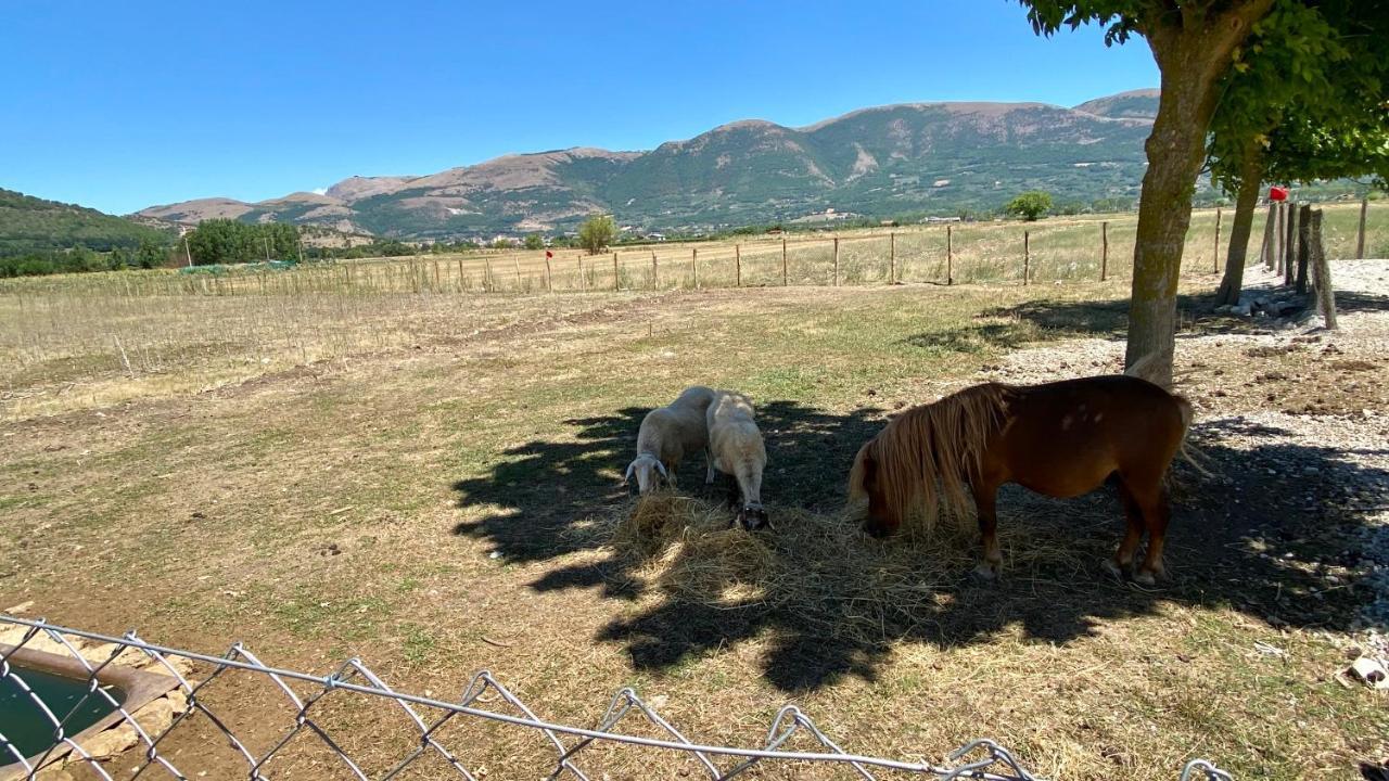 Agroturismo Il Pozzo *