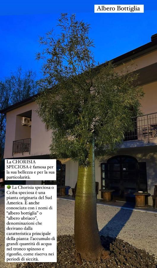 Bauernhof Il Pozzo